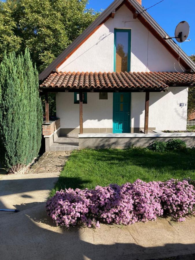 Holiday Home Tunnel Ravne Високо Екстериор снимка