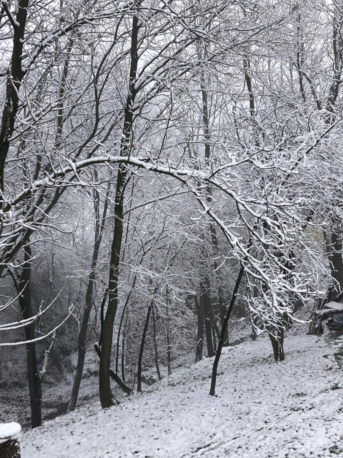 Holiday Home Tunnel Ravne Високо Екстериор снимка