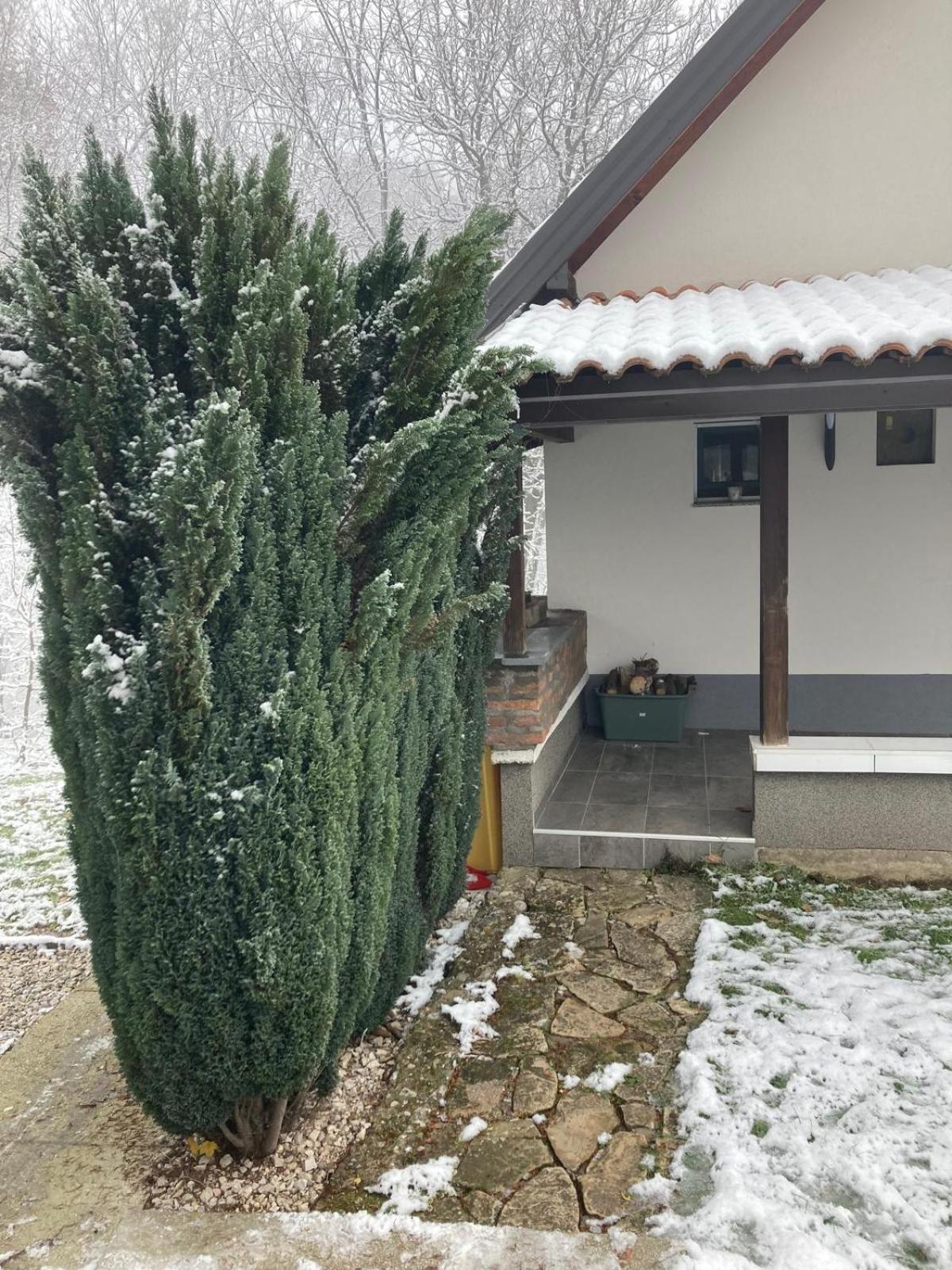 Holiday Home Tunnel Ravne Високо Екстериор снимка